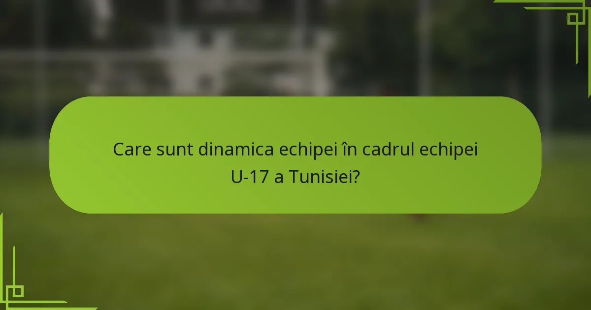 Care sunt dinamica echipei în cadrul echipei U-17 a Tunisiei?