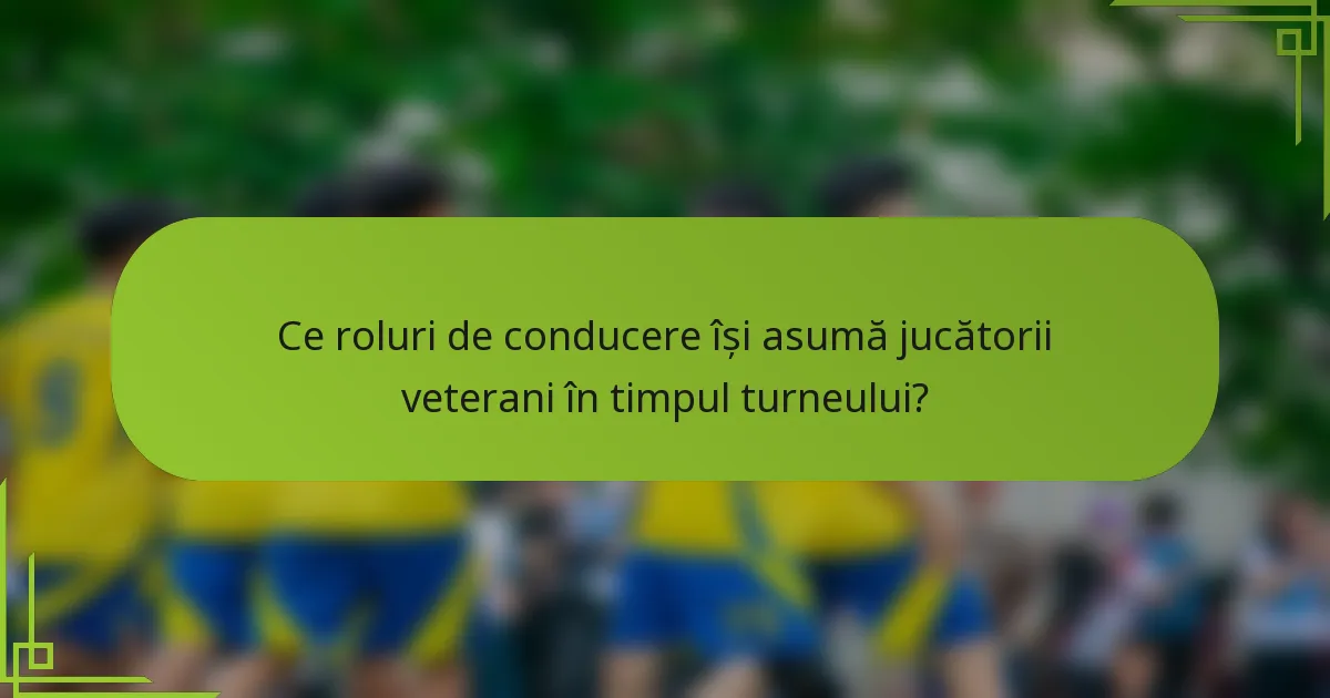 Ce roluri de conducere își asumă jucătorii veterani în timpul turneului?